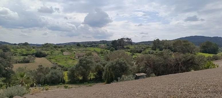 Country House in Montuiri, Balearic Islands, Spain 4 - 16138017