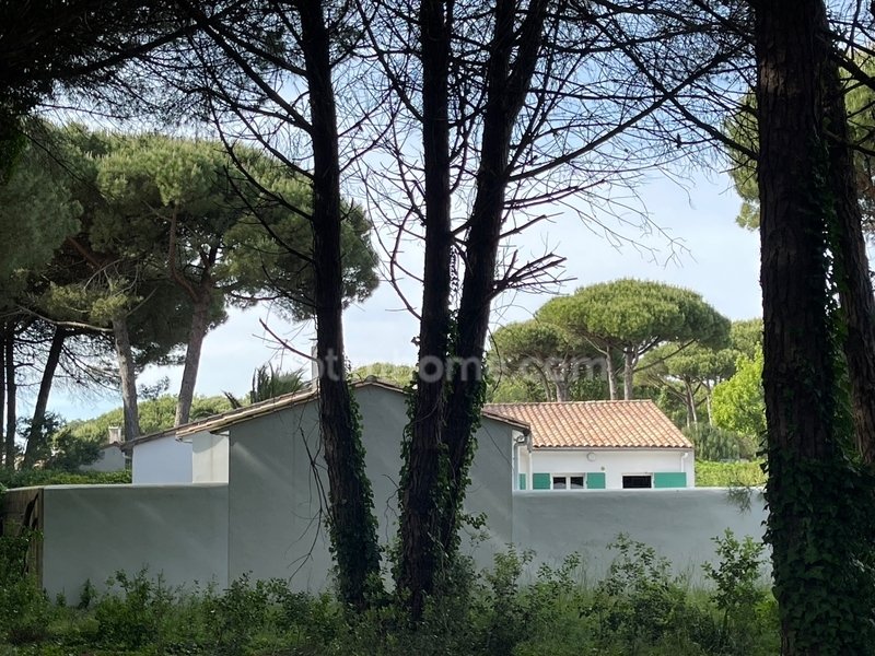 House in Le Bois-Plage-en-Ré, Nouvelle-Aquitaine, France 3 - 15772856