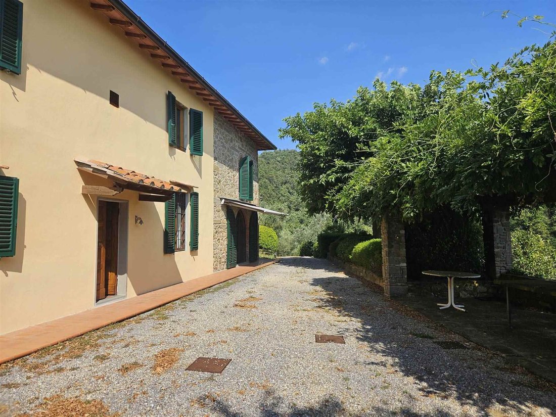 Lamporecchio, Tuscany, Italy 4 - 16137726