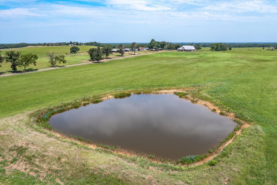 House in Grand Saline, Texas, United States 3 - 16141694