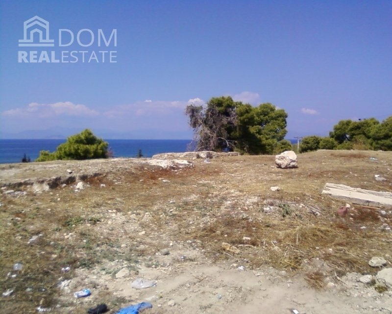 Land in Aegina, Attica, Greece 1 - 16141379