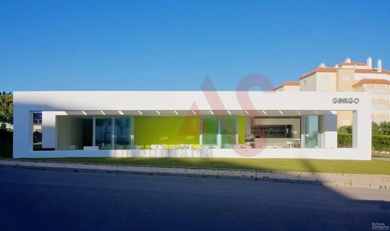 Portimao, Algarve, Portugal 3 - 16137762