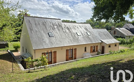 Spacious Property With Separate Guest Lodgings In Wooded Park Of 19 Acres, 15 Km From Blois.