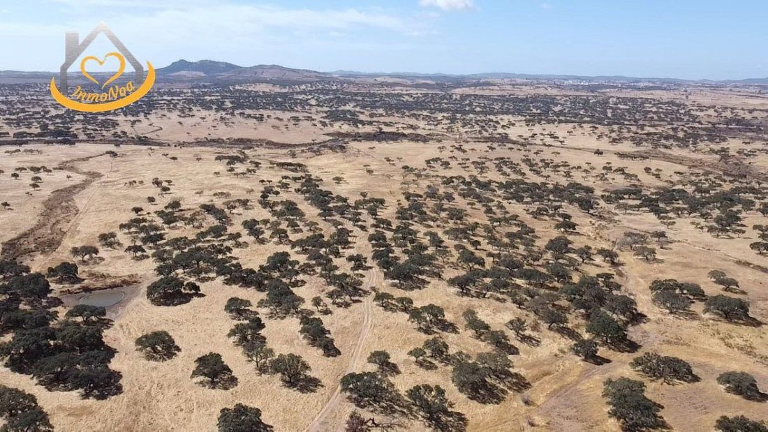Farm Ranch in Puebla de Guzman, Andalusia, Spain 4 - 16145637
