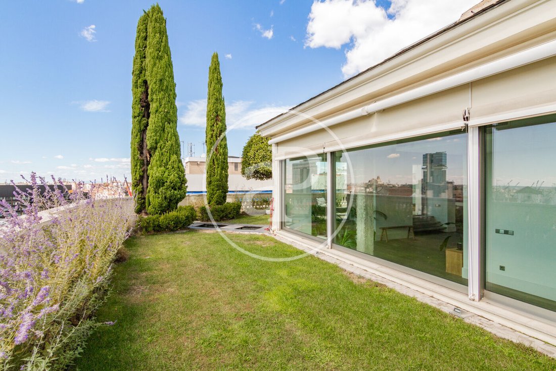 Penthouse in Barrio Salamanca, Madrid, Spain 4 - 16139821