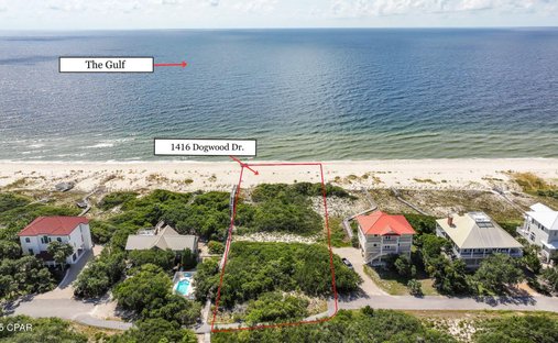 House in Saint George Island, Florida, United States 1
