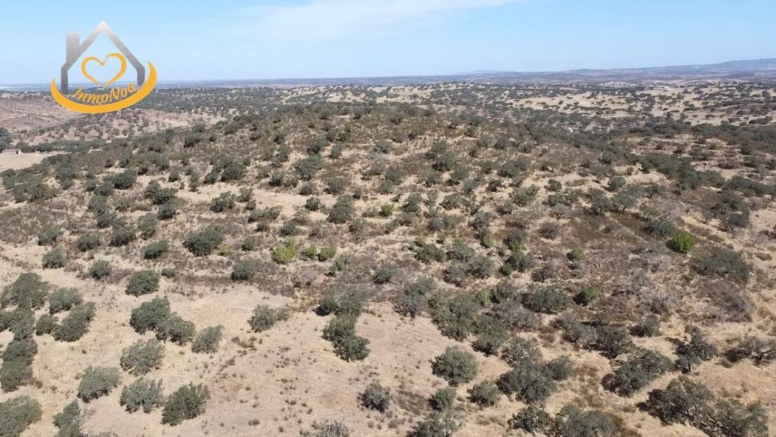 Farm Ranch in Puebla de Guzman, Andalusia, Spain 5 - 16145637