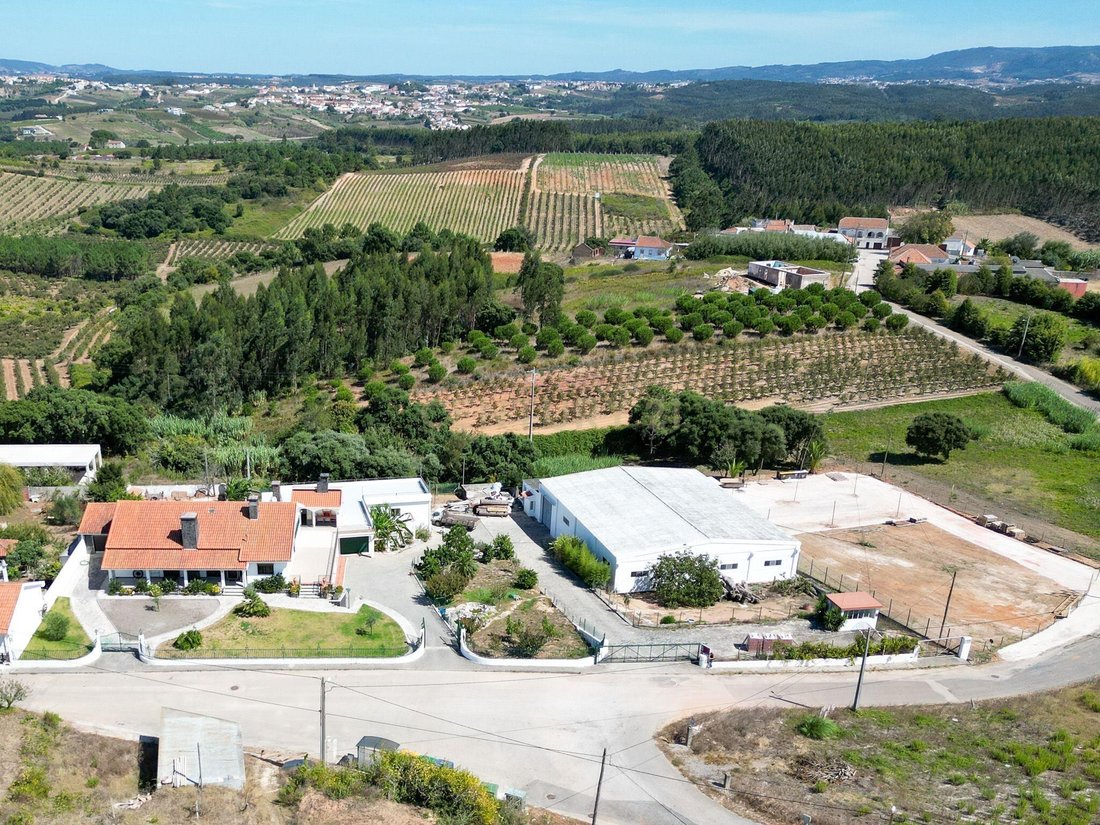 Villa in Bombarral e Vale Covo, Leiria District, Portugal 2 - 14795747