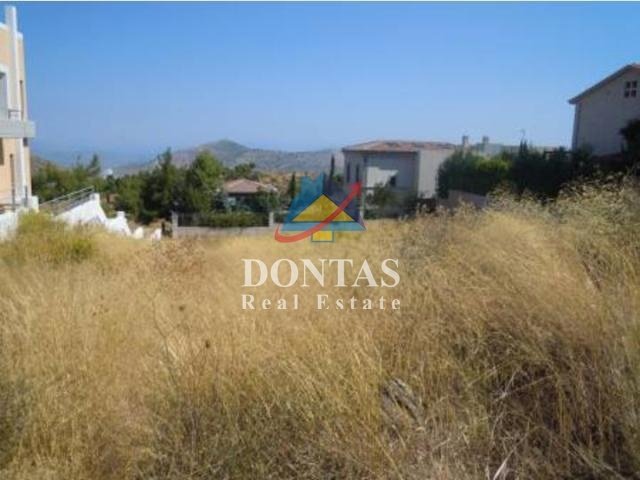 Land in Dionysos, Attica, Greece 1 - 16148221