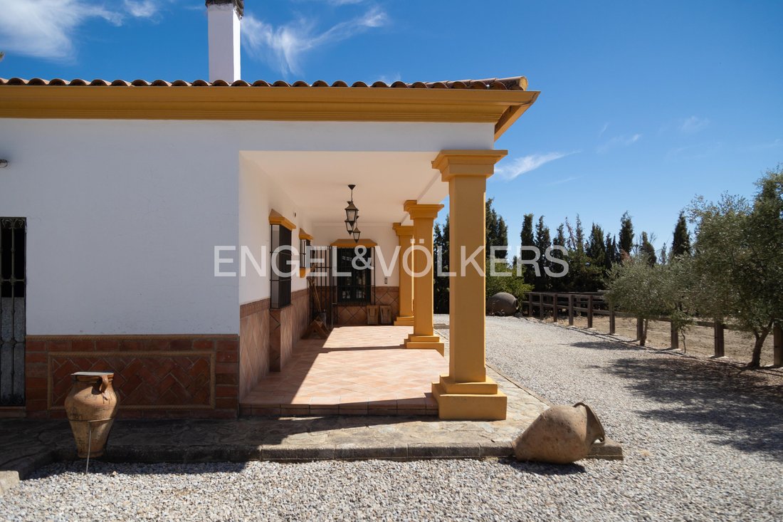 Finca in Llerena, Extremadura, Spain 2 - 16147726