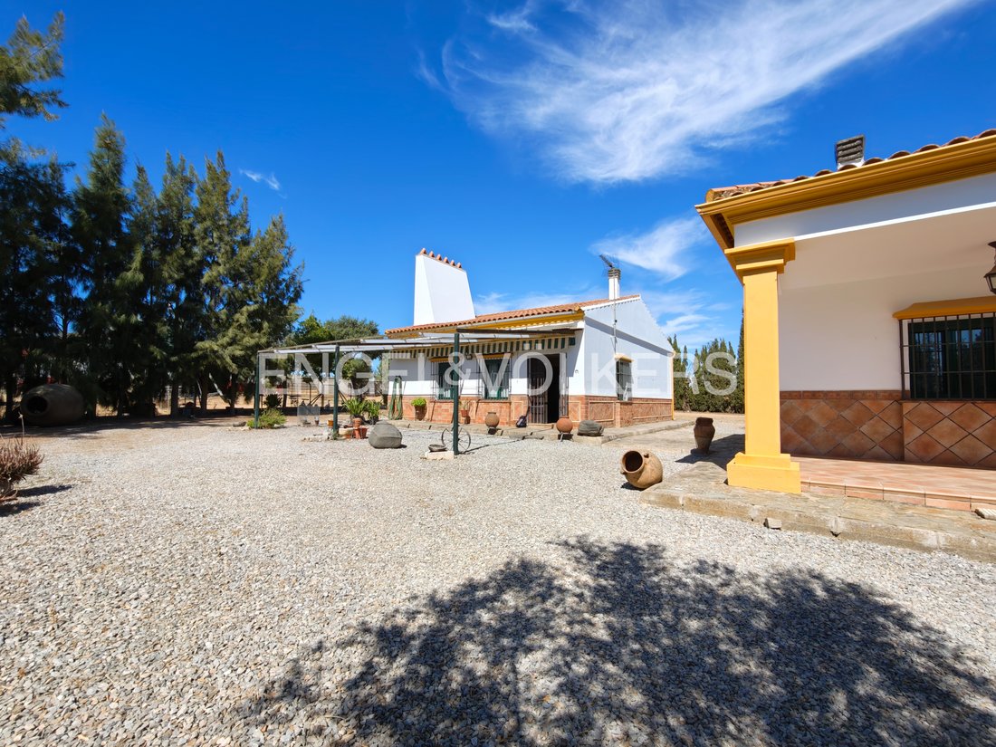 Finca in Llerena, Extremadura, Spain 3 - 16147726