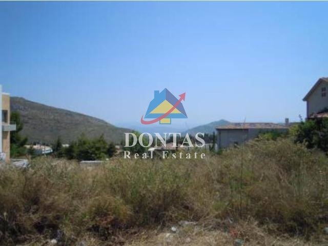 Land in Dionysos, Attica, Greece 2 - 16148221
