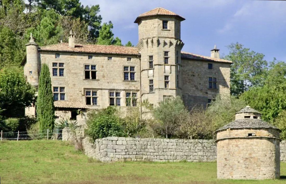 Castle in Joyeuse, Auvergne-Rhône-Alpes, France 4 - 16145898