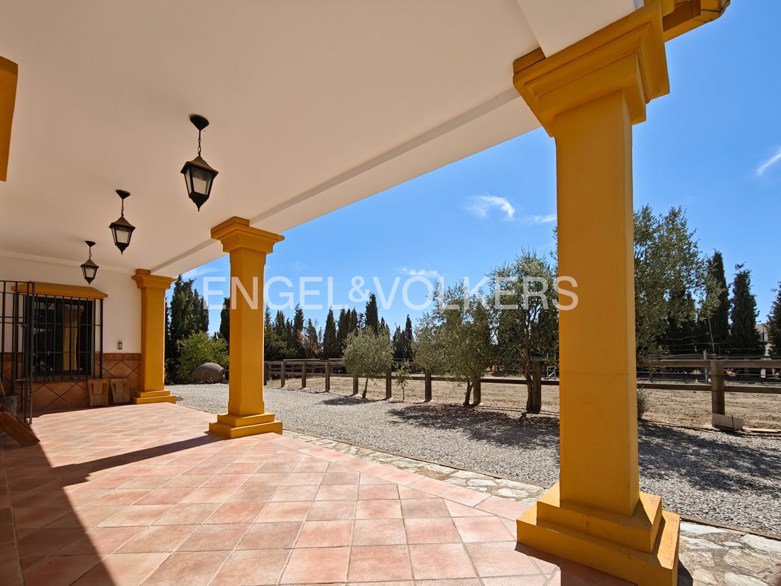 Finca in Llerena, Extremadura, Spain 1 - 16147726