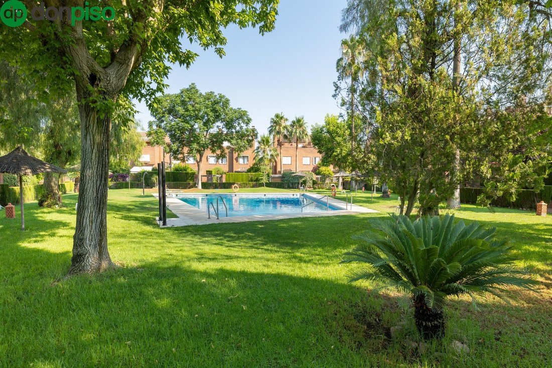 Chana, Granada, Spain 2 - 16147523