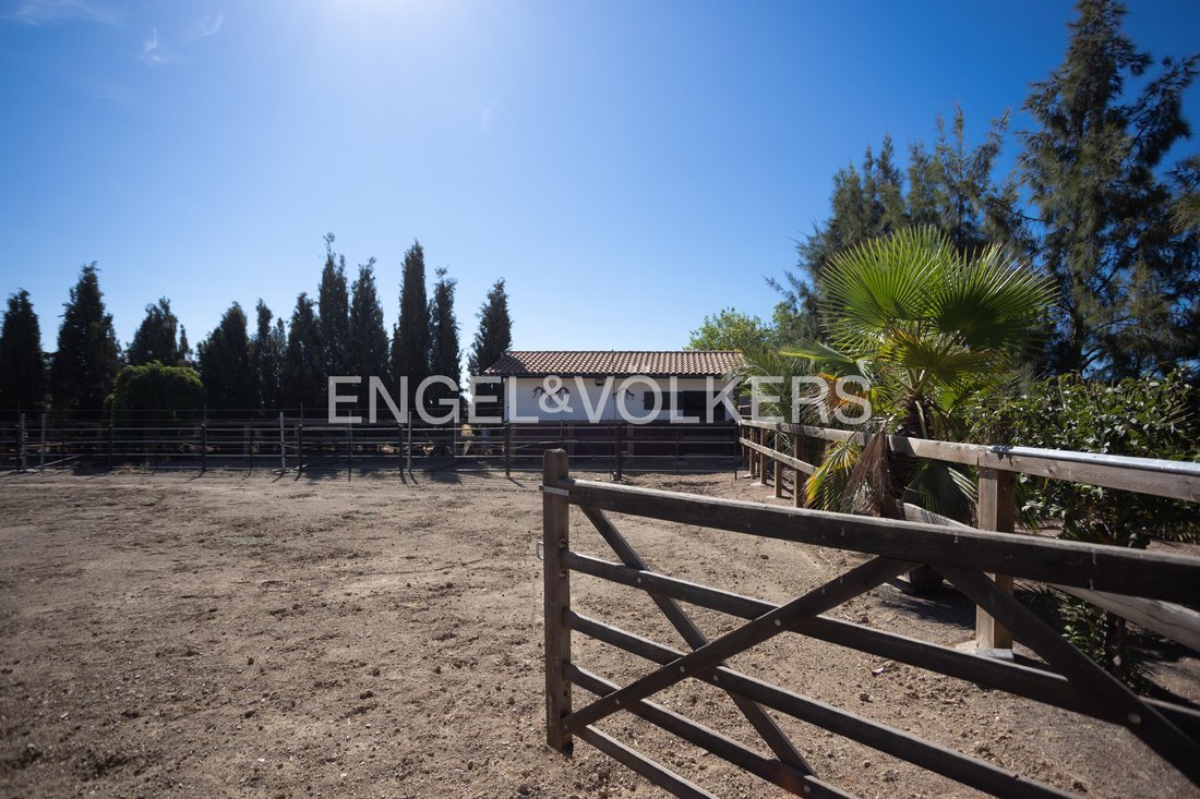 Finca in Llerena, Extremadura, Spain 5 - 16147726