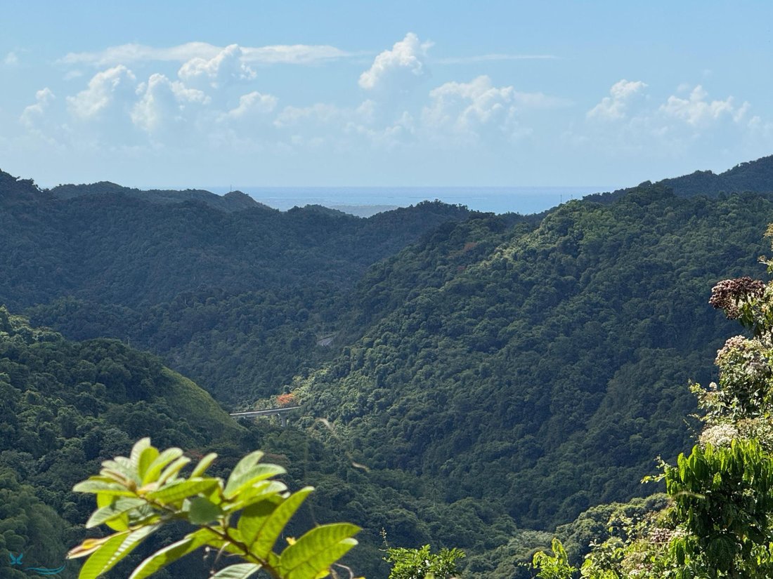 Land in Ponce, Puerto Rico 1 - 16146353