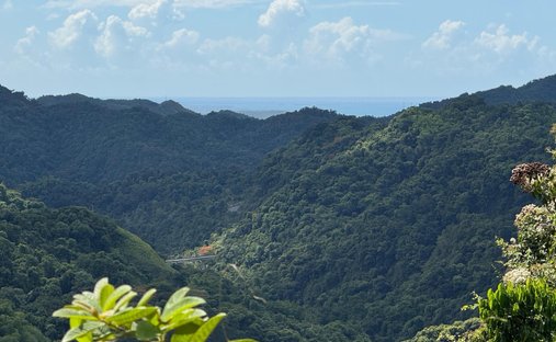 Terreno a Ponce, Porto Rico 1