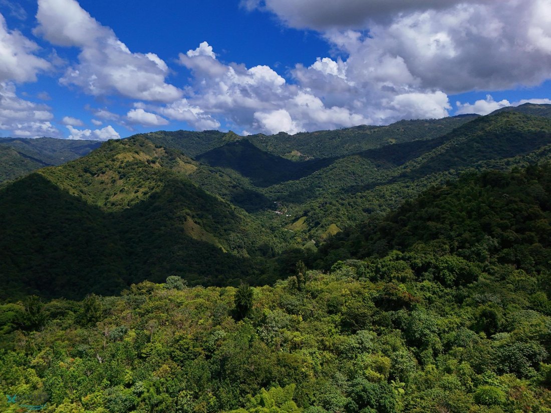 Land in Ponce, Puerto Rico 5 - 16146353
