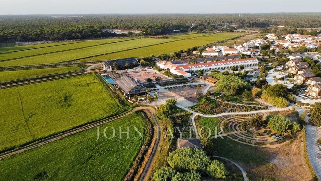 House in Carvalhal, Setubal, Portugal 4 - 15901126