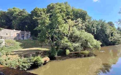 Spacious Property With Separate Guest Lodgings In Wooded Park Of 19 Acres, 15 Km From Blois.