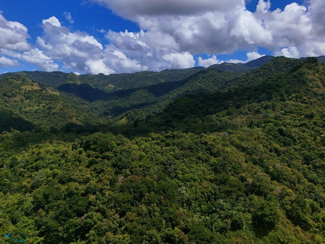 Land in Ponce, Puerto Rico 3 - 16146353