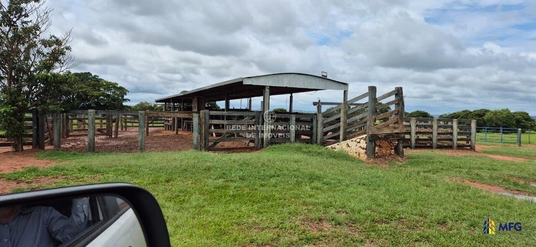 Farm Ranch in Martinópolis, State of São Paulo, Brazil 3 - 16148837