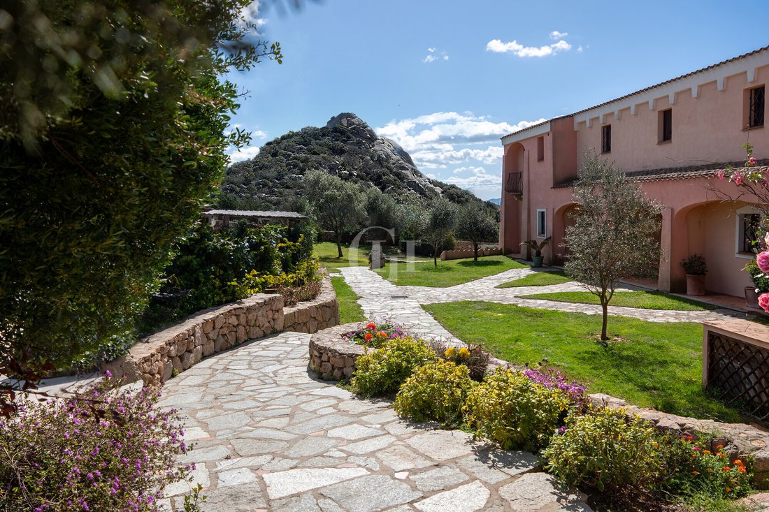 Apartment in Area Arzachena Paese, Arzachena, Sardinia 1 - 14267535