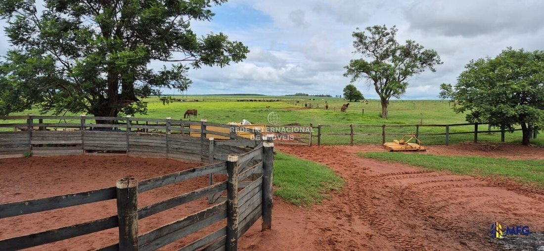 Farm Ranch in Martinópolis, State of São Paulo, Brazil 4 - 16148837