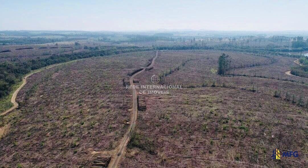 Farm Ranch in Ronco, State of Paraná, Brazil 2 - 16148727