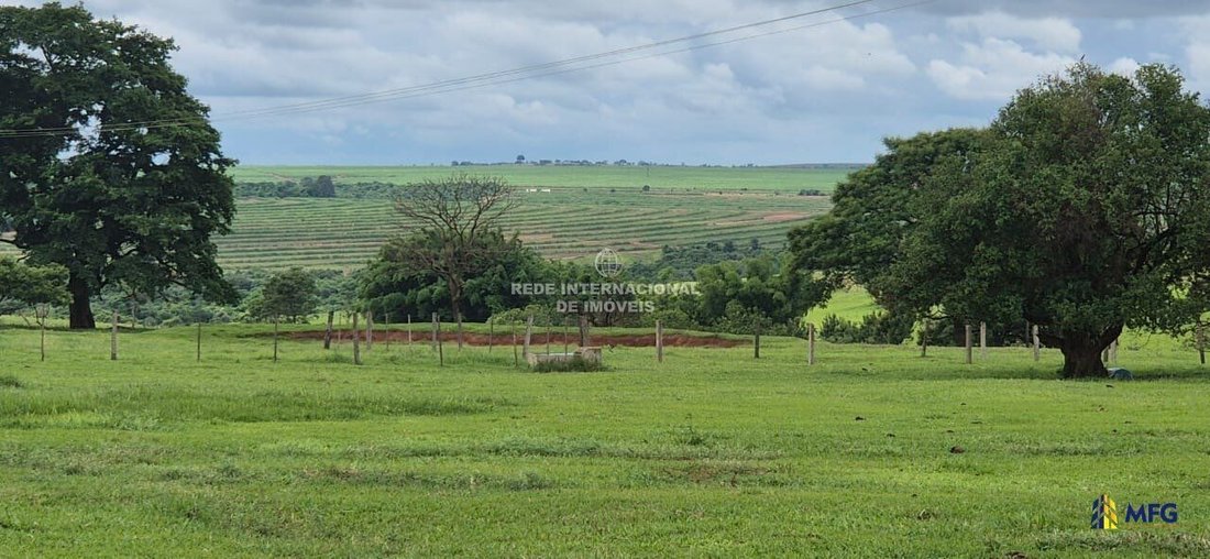 Farm Ranch in Martinópolis, State of São Paulo, Brazil 1 - 16148837