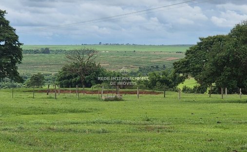 Farm Ranch in Martinópolis, State of São Paulo, Brazil 1