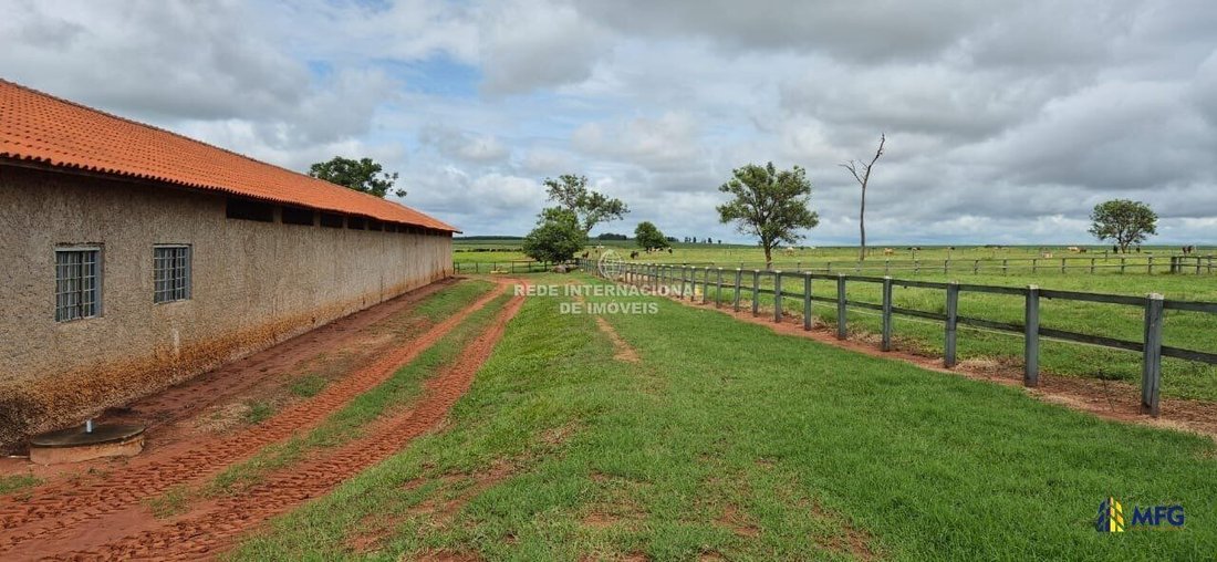 Farm Ranch in Martinópolis, State of São Paulo, Brazil 5 - 16148837