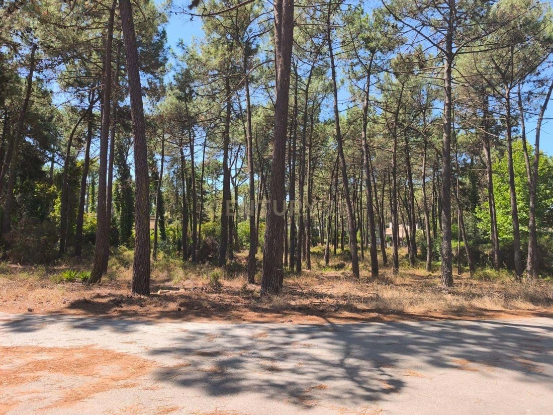 Land in Herdade Da Aroeira, Charneca de Caparica e Sobreda, Setubal 5 - 16149118