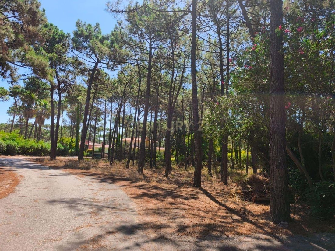 Land in Herdade Da Aroeira, Charneca de Caparica e Sobreda, Setubal 3 - 16149118