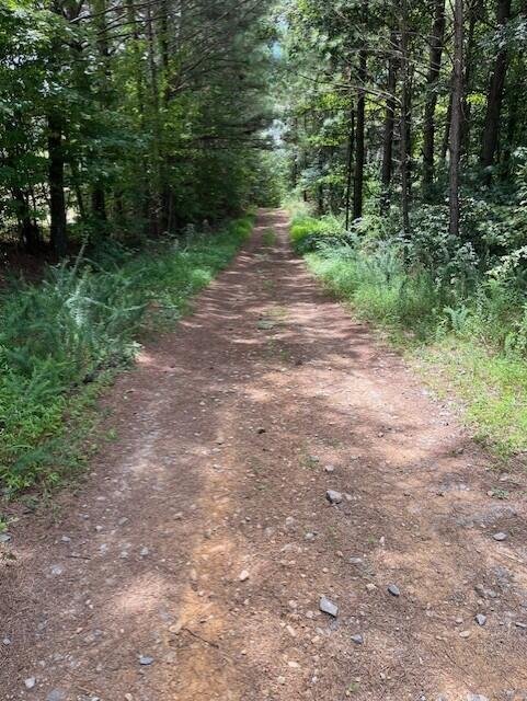 Land in Graysville, Tennessee, United States 4 - 16150320