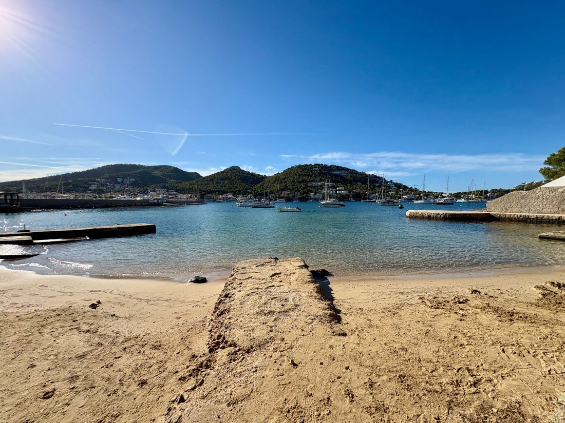Apartment in Port d'Andratx, Andratx, Balearic Islands 5 - 16150505