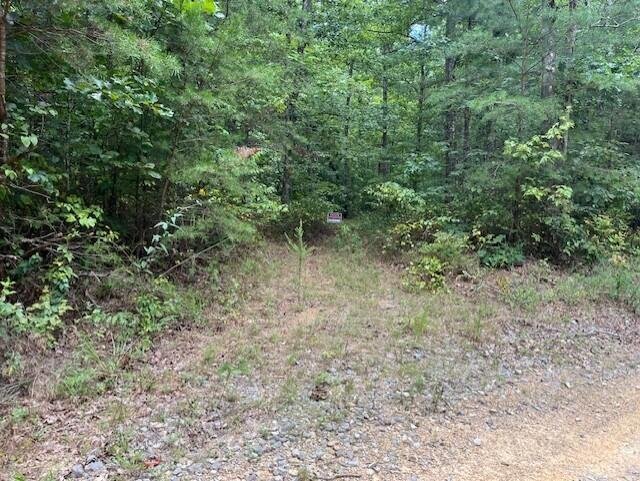Land in Graysville, Tennessee, United States 1 - 16150320