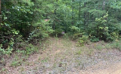 Land in Graysville, Tennessee, United States 1
