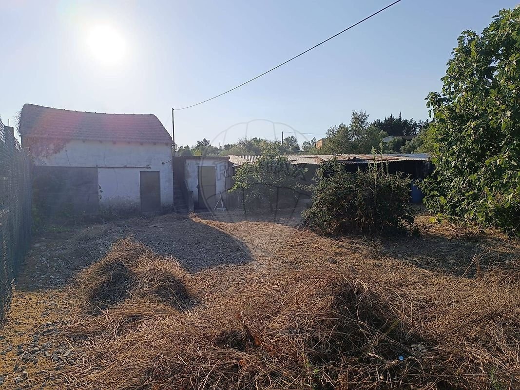 House in Cartaxo e Vale da Pinta, Santarem District, Portugal 5 - 15429675