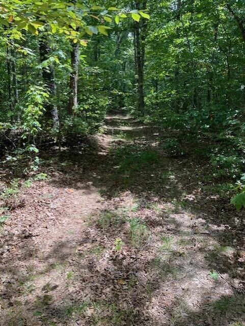 Land in Graysville, Tennessee, United States 5 - 16150320