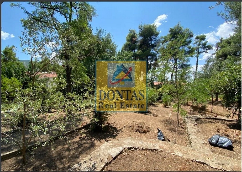 Land in Ekali, Attica, Greece 2 - 16155876
