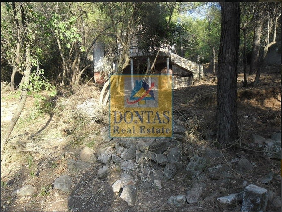Land in Penteli, Attica, Greece 3 - 16155452