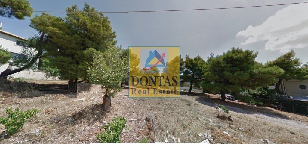 Land in Melissia, Attica, Greece 3 - 16155733