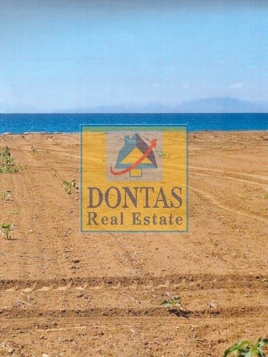 Land in Amaliada, Peloponnese, Western Greece and the Ionian, Greece 2 - 16156032