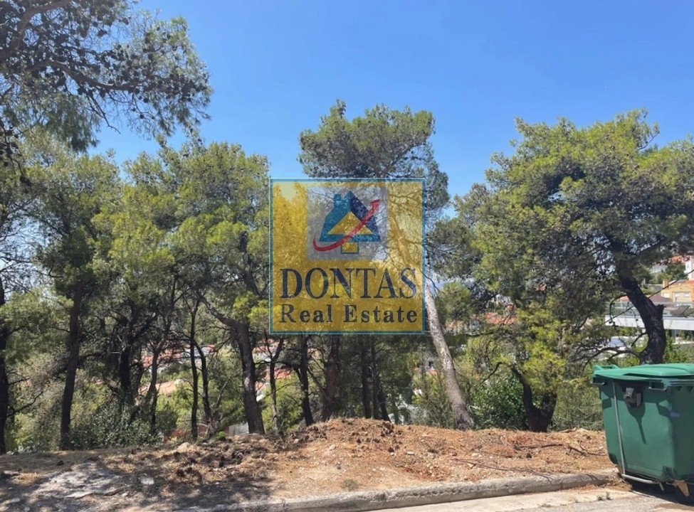 Land in Penteli, Attica, Greece 3 - 16156068
