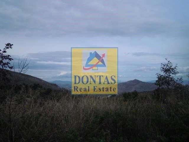 Land in Dionysos, Attica, Greece 1 - 16155737