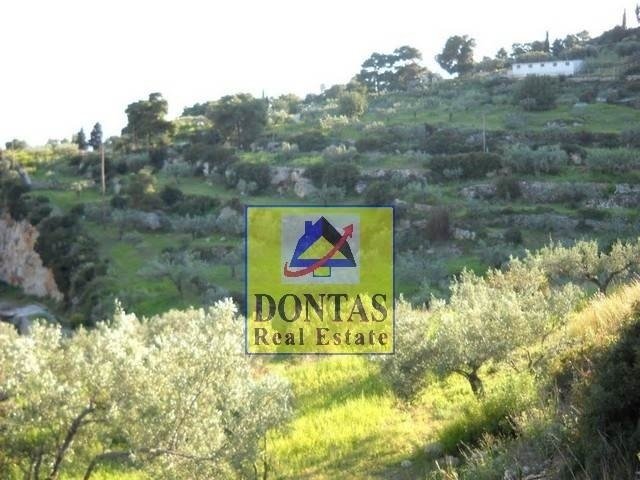 Land in Spetses, Attica, Greece 4 - 16155617
