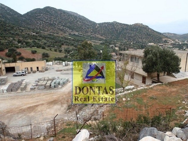 Land in Milopotamos, Greece 5 - 16155708