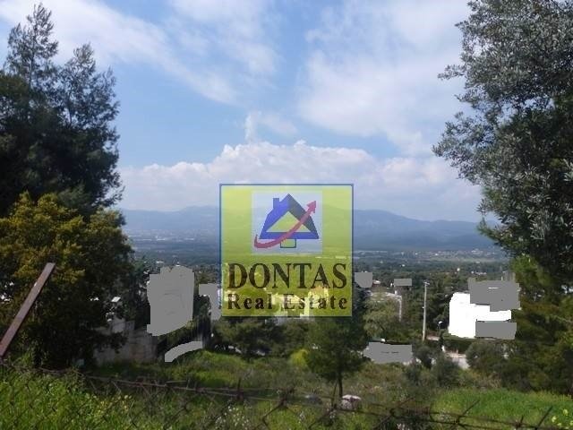 Land in Dionysos, Attica, Greece 2 - 16155702